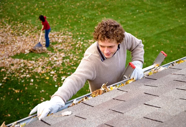 gutter-cleaning